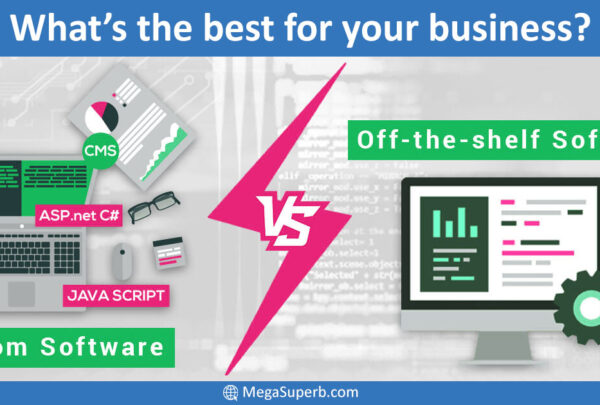 stomer Software vs off the shelf software